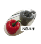 受験期の描写（個別スタンプ：14）