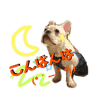 フレブルのナナとレイ（個別スタンプ：6）