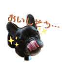 フレブルのナナとレイ（個別スタンプ：24）