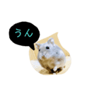 ハムスターのあおちゃん（個別スタンプ：2）
