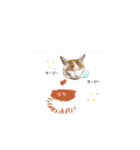 あわづさんちのにゃんこたち（個別スタンプ：1）