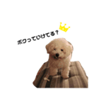 Be＆bit（個別スタンプ：2）