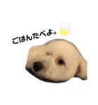 Be＆bit（個別スタンプ：6）