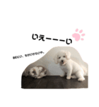 Be＆bit（個別スタンプ：7）