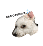 Be＆bit（個別スタンプ：8）