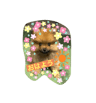 ウッディ君（個別スタンプ：4）