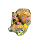 ウッディ君（個別スタンプ：5）