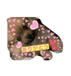ウッディ君（個別スタンプ：6）