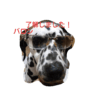 ハート・バロン（個別スタンプ：1）