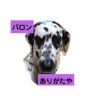 ハート・バロン（個別スタンプ：5）