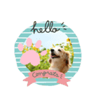 ぼっくはここちゃん。（個別スタンプ：4）