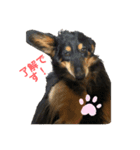 クッキー4月15日（個別スタンプ：7）