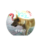 困ったテンテン（個別スタンプ：5）