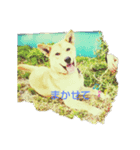 困ったテンテン（個別スタンプ：6）
