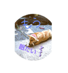 困ったテンテン（個別スタンプ：8）