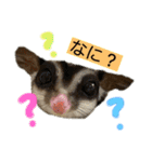 伊藤家のフクロモモンガ（個別スタンプ：3）