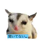 伊藤家のフクロモモンガ（個別スタンプ：5）