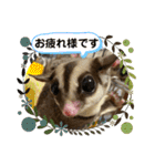 伊藤家のフクロモモンガ（個別スタンプ：15）