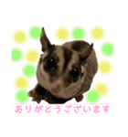 伊藤家のフクロモモンガ（個別スタンプ：18）