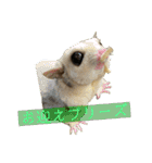 伊藤家のフクロモモンガ（個別スタンプ：21）