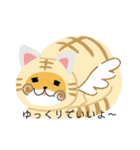 豆しば豆子 mame shiba Mameko（個別スタンプ：8）