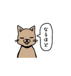 男子と女子とその他（個別スタンプ：16）