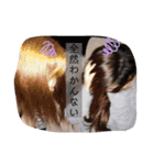 ( 厂˙ω˙ )厂うぇーいぃぃぃぃぃぃぃ（個別スタンプ：14）