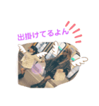 ( 厂˙ω˙ )厂うぇーいぃぃぃぃぃぃぃ（個別スタンプ：15）