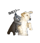 犬の一言 byシェリィ（個別スタンプ：2）