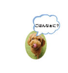 May channel（個別スタンプ：22）