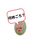 May channel（個別スタンプ：24）