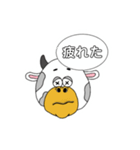 うしさんの毎日スタンプ（個別スタンプ：12）