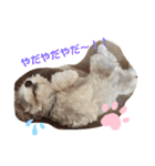 ᕼᗩᕈᕈY（個別スタンプ：4）