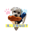 ᕼᗩᕈᕈY（個別スタンプ：7）