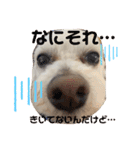 ᕼᗩᕈᕈY（個別スタンプ：12）