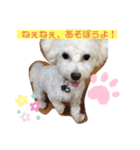 ᕼᗩᕈᕈY（個別スタンプ：13）