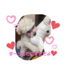 ᕼᗩᕈᕈY（個別スタンプ：15）