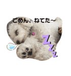 ᕼᗩᕈᕈY（個別スタンプ：16）