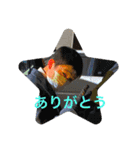 STAR池上のスタンプ！（個別スタンプ：2）