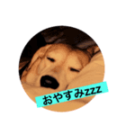 くぼたちび太（個別スタンプ：1）