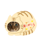 ミーくん！にゃん（個別スタンプ：1）
