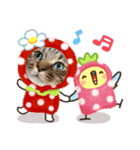 ミーくん！にゃん（個別スタンプ：12）