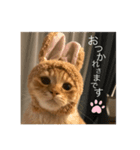 岡本さんちのうにさん。（個別スタンプ：3）