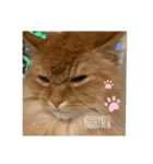 岡本さんちのうにさん。（個別スタンプ：4）