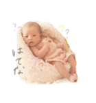 華菜やんスタンプ（個別スタンプ：1）