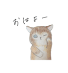 良くも悪くも猫（個別スタンプ：1）