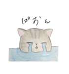 良くも悪くも猫（個別スタンプ：4）