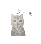 良くも悪くも猫（個別スタンプ：7）