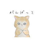良くも悪くも猫（個別スタンプ：10）