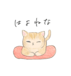 良くも悪くも猫（個別スタンプ：11）